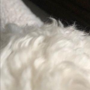 Meet your Posher, Janariah